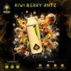 Kiwi Berry RNTZ